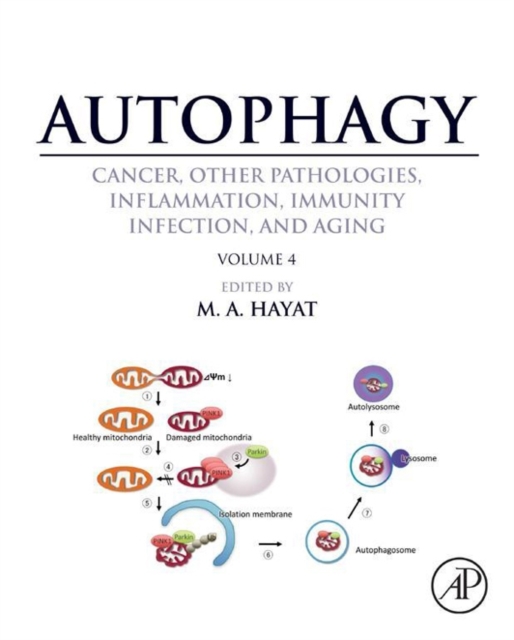 Autophagy: Cancer, Other Pathologies, Inflammation, Immunity, Infection, and Aging : Volume 4 - Mitophagy, EPUB eBook