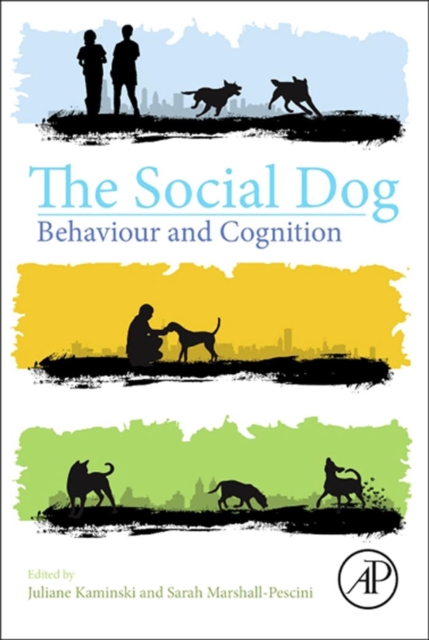 The Social Dog : Behavior and Cognition, Paperback / softback Book