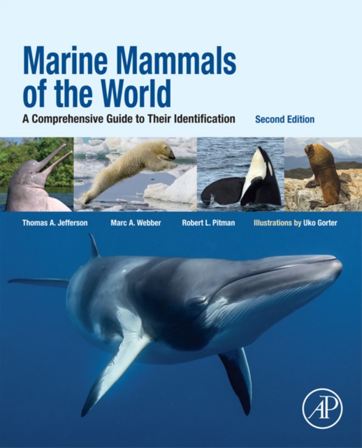 Marine Mammals of the World : A Comprehensive Guide to Their Identification, EPUB eBook