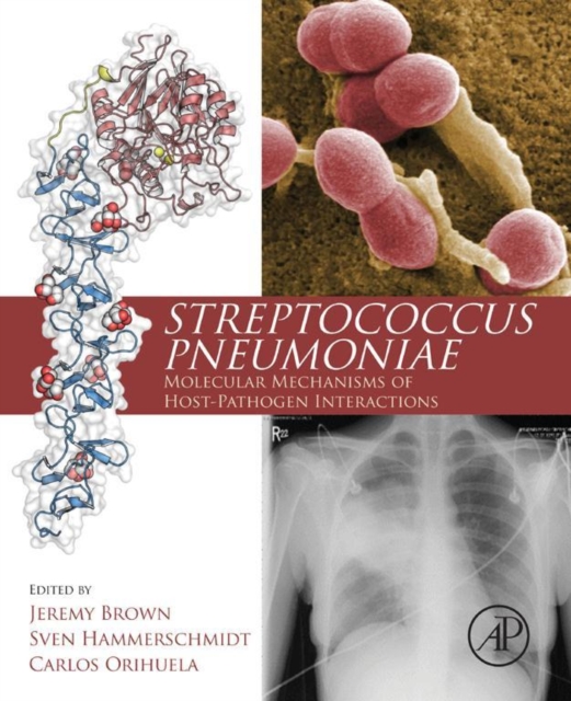 Streptococcus Pneumoniae : Molecular Mechanisms of Host-Pathogen Interactions, EPUB eBook