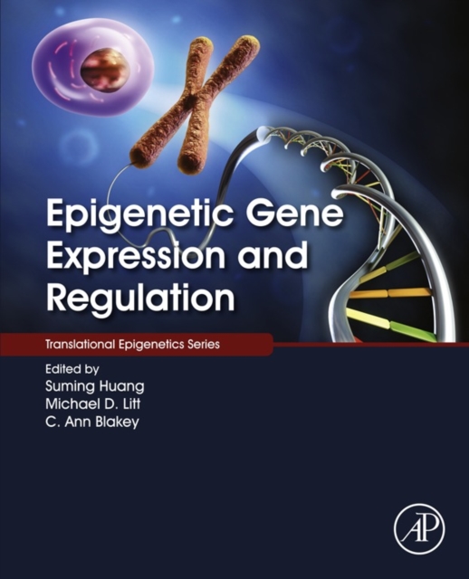 Epigenetic Gene Expression and Regulation, EPUB eBook