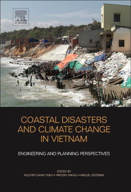 Coastal Disasters and Climate Change in Vietnam : Engineering and Planning Perspectives, EPUB eBook