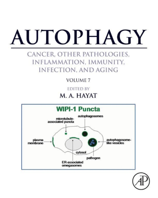 Autophagy: Cancer, Other Pathologies, Inflammation, Immunity, Infection, and Aging : Volume 7- Role of Autophagy in Therapeutic Applications, EPUB eBook