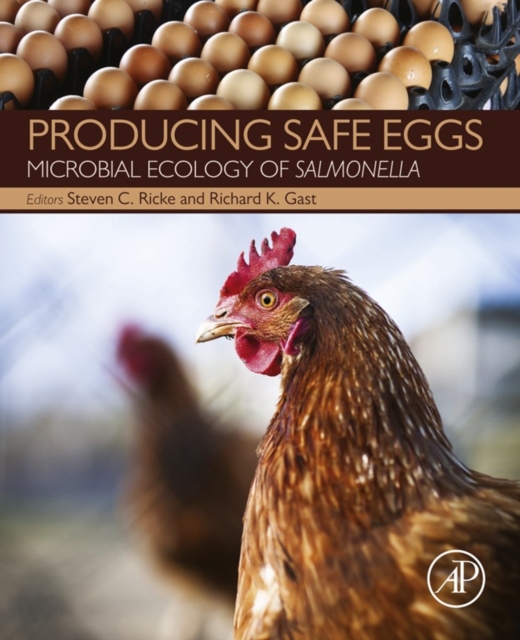 Producing Safe Eggs : Microbial Ecology of Salmonella, EPUB eBook