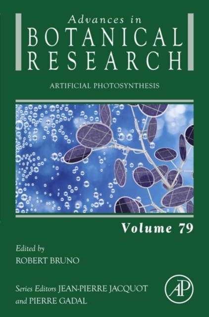 Artificial Photosynthesis, EPUB eBook
