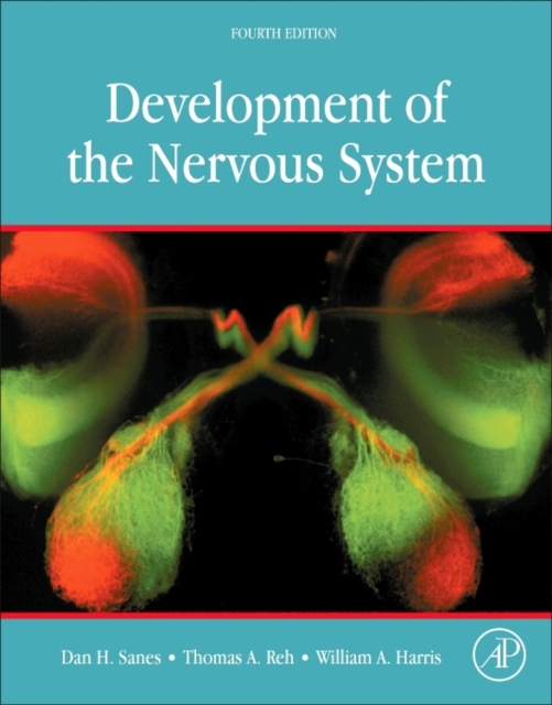 Development of the Nervous System, Hardback Book