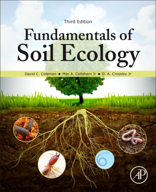 Fundamentals of Soil Ecology, Paperback / softback Book