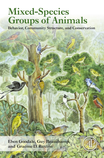 Mixed-Species Groups of Animals : Behavior, Community Structure, and Conservation, EPUB eBook