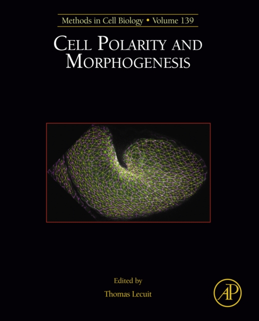Cell Polarity and Morphogenesis, EPUB eBook