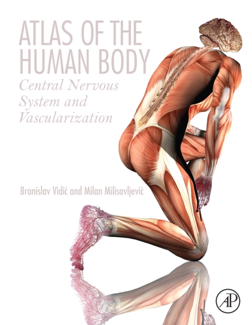 Atlas of the Human Body : Central Nervous System and Vascularization, EPUB eBook