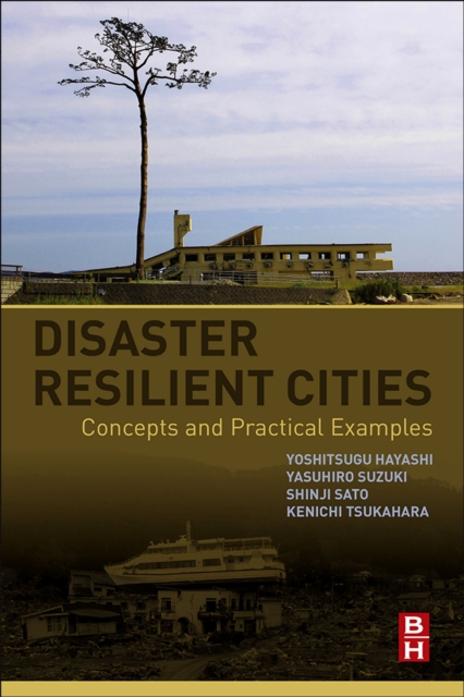 Disaster Resilient Cities : Concepts and Practical Examples, EPUB eBook
