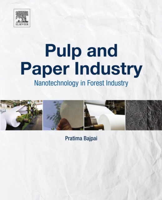 Pulp and Paper Industry : Nanotechnology in Forest Industry, EPUB eBook