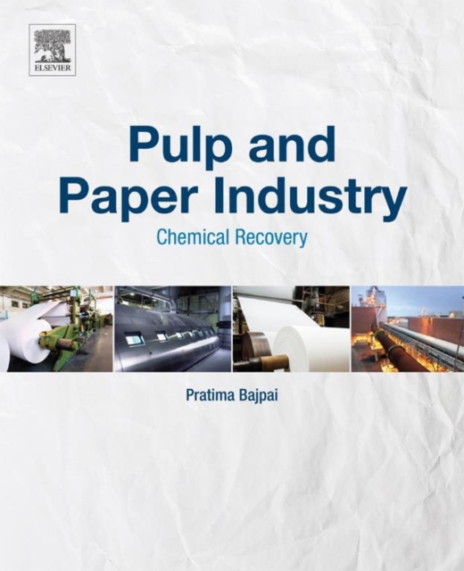 Pulp and Paper Industry : Chemical Recovery, EPUB eBook