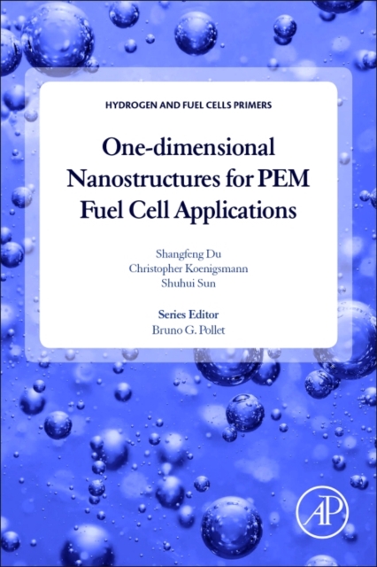 One-dimensional Nanostructures for PEM Fuel Cell Applications, Paperback / softback Book