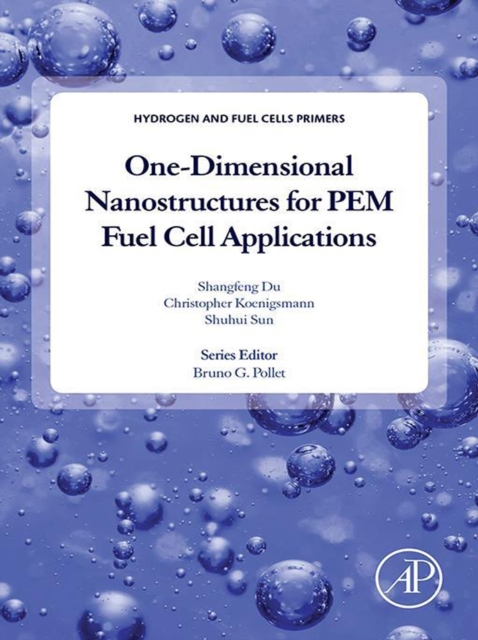 One-dimensional Nanostructures for PEM Fuel Cell Applications, EPUB eBook
