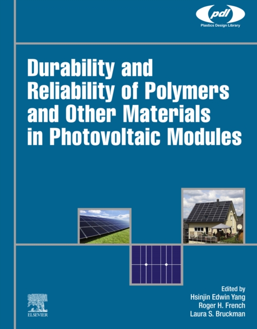 Durability and Reliability of Polymers and Other Materials in Photovoltaic Modules, EPUB eBook