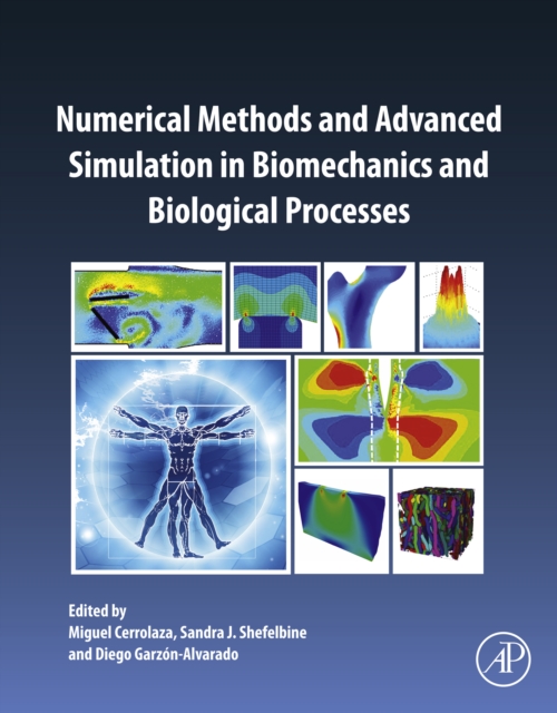 Numerical Methods and Advanced Simulation in Biomechanics and Biological Processes, EPUB eBook