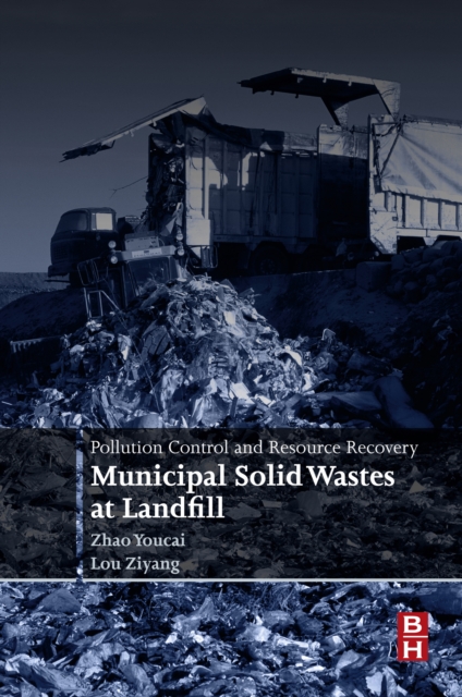 Pollution Control and Resource Recovery : Municipal Solid Wastes at Landfill, EPUB eBook