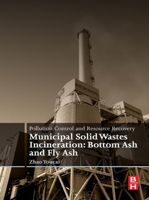 Pollution Control and Resource Recovery : Municipal Solid Wastes Incineration: Bottom Ash and Fly Ash, EPUB eBook