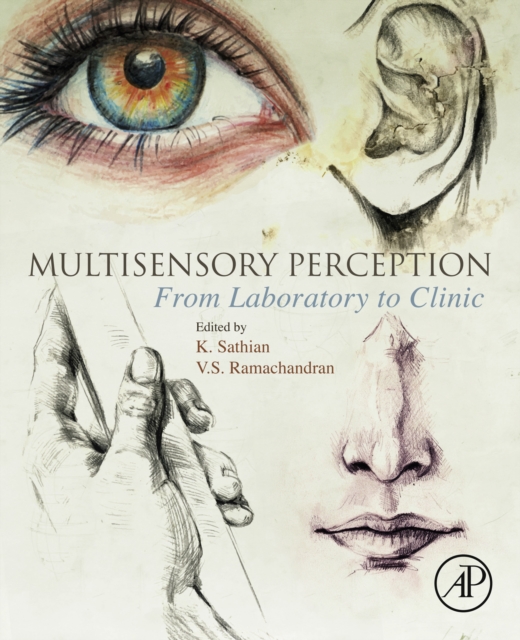 Multisensory Perception : From Laboratory to Clinic, EPUB eBook