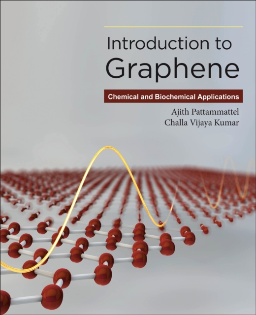 Introduction to Graphene : Chemical and Biochemical Applications, EPUB eBook