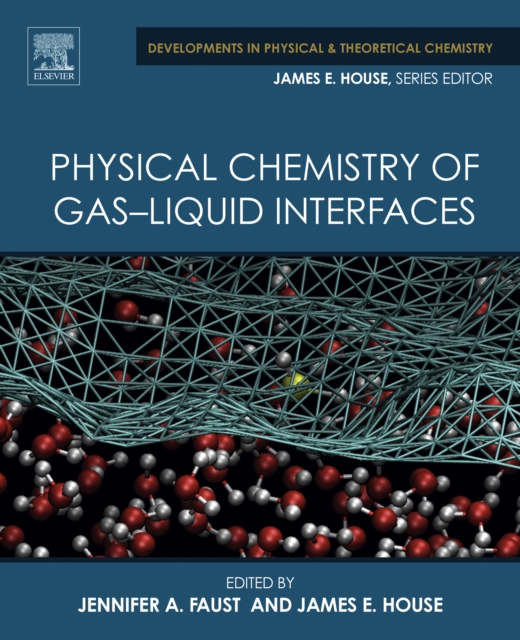 Physical Chemistry of Gas-Liquid Interfaces, EPUB eBook