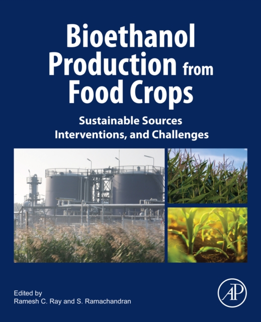 Bioethanol Production from Food Crops : Sustainable Sources, Interventions, and Challenges, EPUB eBook