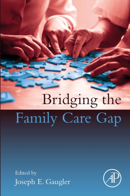Bridging the Family Care Gap, EPUB eBook