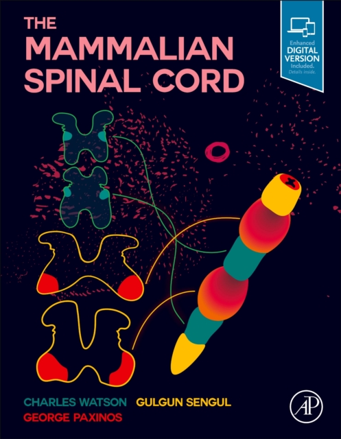 The Mammalian Spinal Cord, EPUB eBook