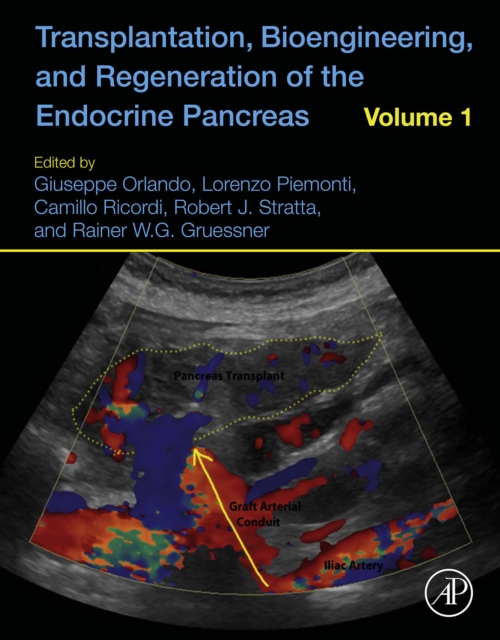 Transplantation, Bioengineering, and Regeneration of the Endocrine Pancreas : Volume 1, EPUB eBook