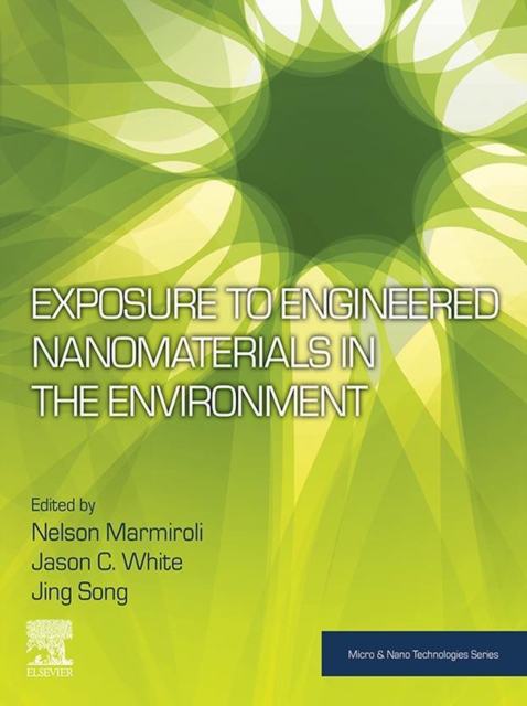 Exposure to Engineered Nanomaterials in the Environment, EPUB eBook