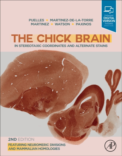 The Chick Brain in Stereotaxic Coordinates and Alternate Stains : Featuring Neuromeric Divisions and Mammalian Homologies, EPUB eBook