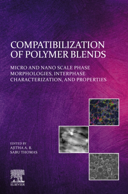 Compatibilization of Polymer Blends : Micro and Nano Scale Phase Morphologies, Interphase Characterization, and Properties, EPUB eBook