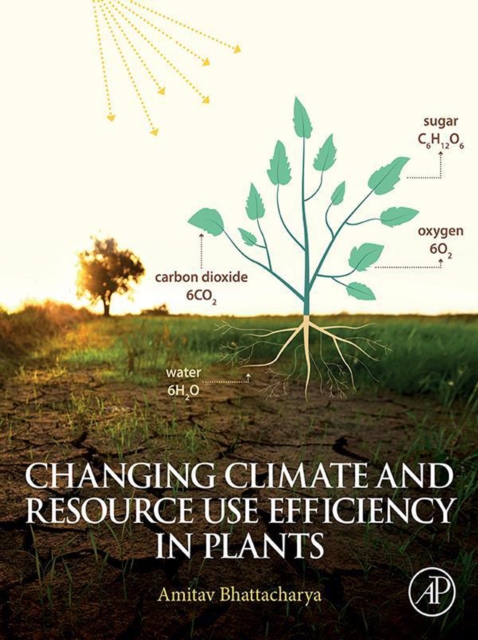 Changing Climate and Resource use Efficiency in Plants, EPUB eBook