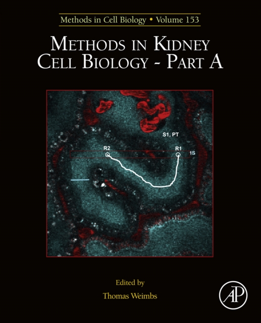 Methods in Kidney Cell Biology Part A, EPUB eBook