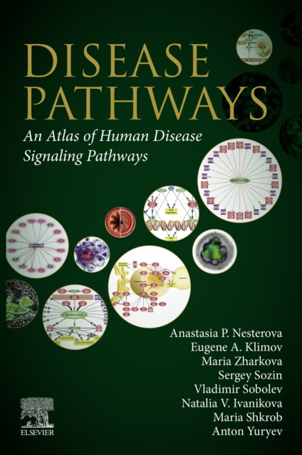 Disease Pathways : An Atlas of Human Disease Signaling Pathways, EPUB eBook