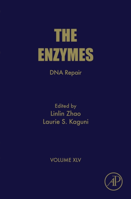 DNA Repair, EPUB eBook