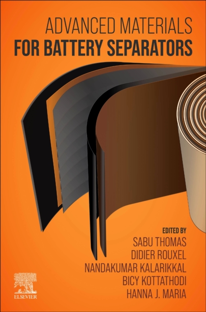 Advanced Materials for Battery Separators, Paperback / softback Book