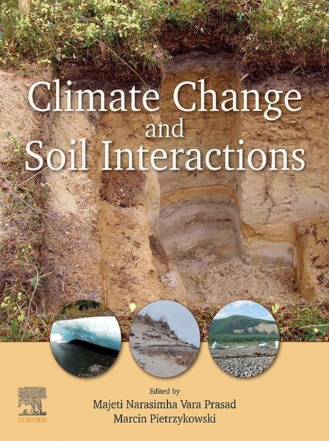 Climate Change and Soil Interactions, EPUB eBook