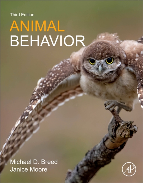 Animal Behavior, Paperback / softback Book