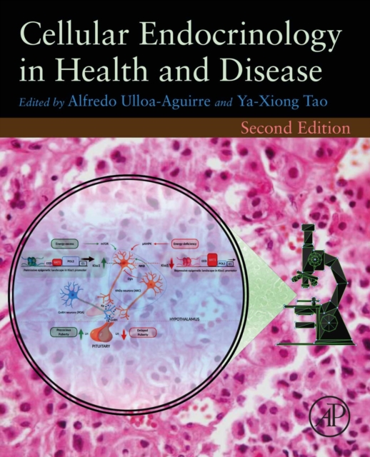 Cellular Endocrinology in Health and Disease, EPUB eBook