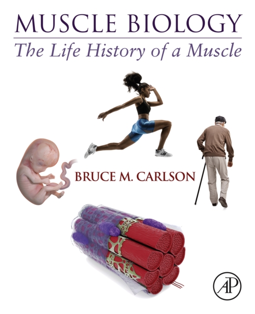 Muscle Biology : The Life History of a Muscle, EPUB eBook