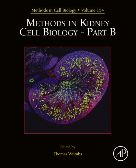 Methods in Kidney Cell Biology Part B, EPUB eBook