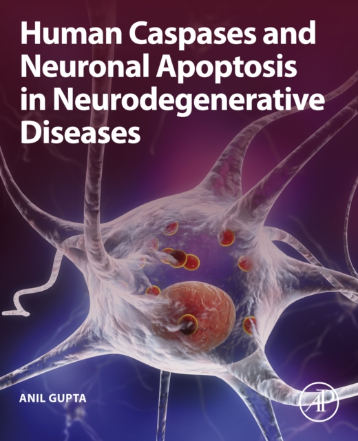 Human Caspases and Neuronal Apoptosis in Neurodegenerative Diseases, EPUB eBook