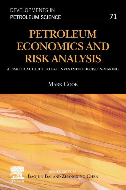 Petroleum Economics and Risk Analysis : A Practical Guide to E&P Investment Decision-Making Volume 71, Paperback / softback Book