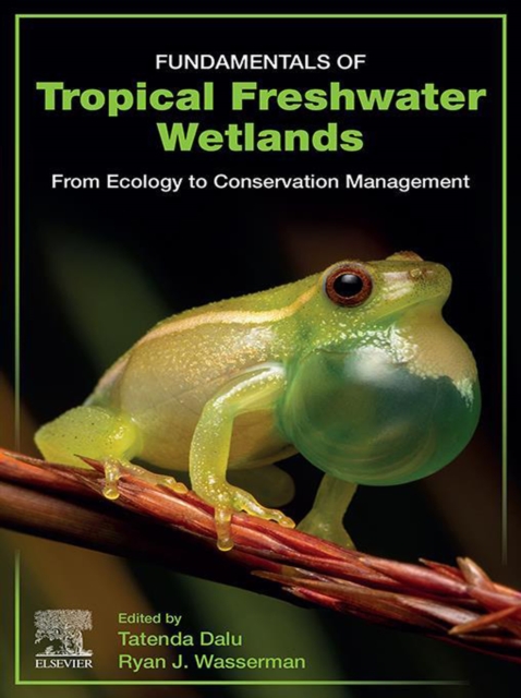 Fundamentals of Tropical Freshwater Wetlands : From Ecology to Conservation Management, EPUB eBook