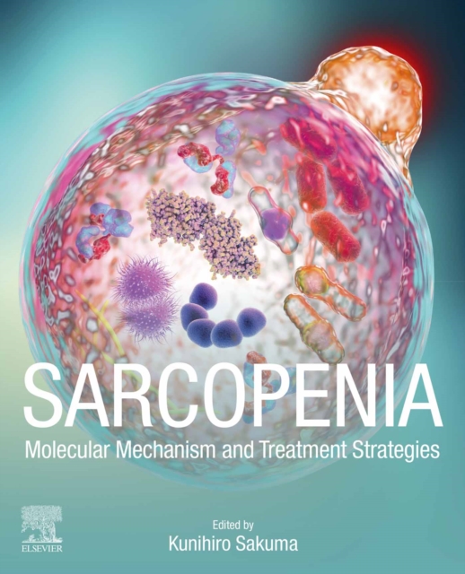 Sarcopenia : Molecular Mechanism and Treatment Strategies, EPUB eBook