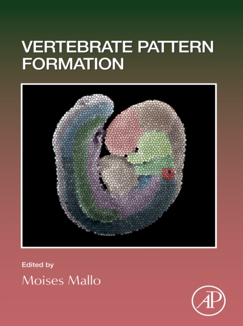 Vertebrate Pattern Formation, EPUB eBook
