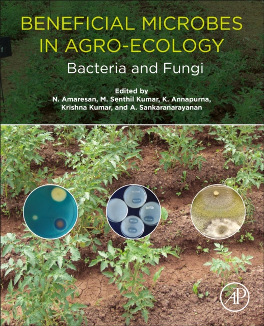 Beneficial Microbes in Agro-Ecology : Bacteria and Fungi, EPUB eBook