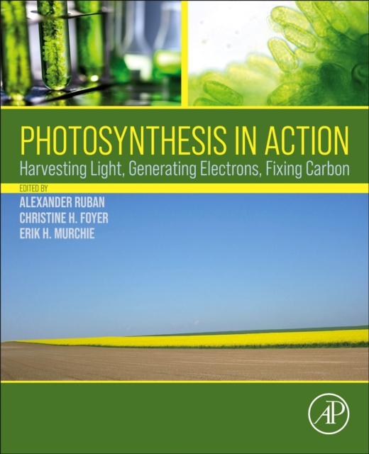 Photosynthesis in Action : Harvesting Light, Generating Electrons, Fixing Carbon, Paperback / softback Book
